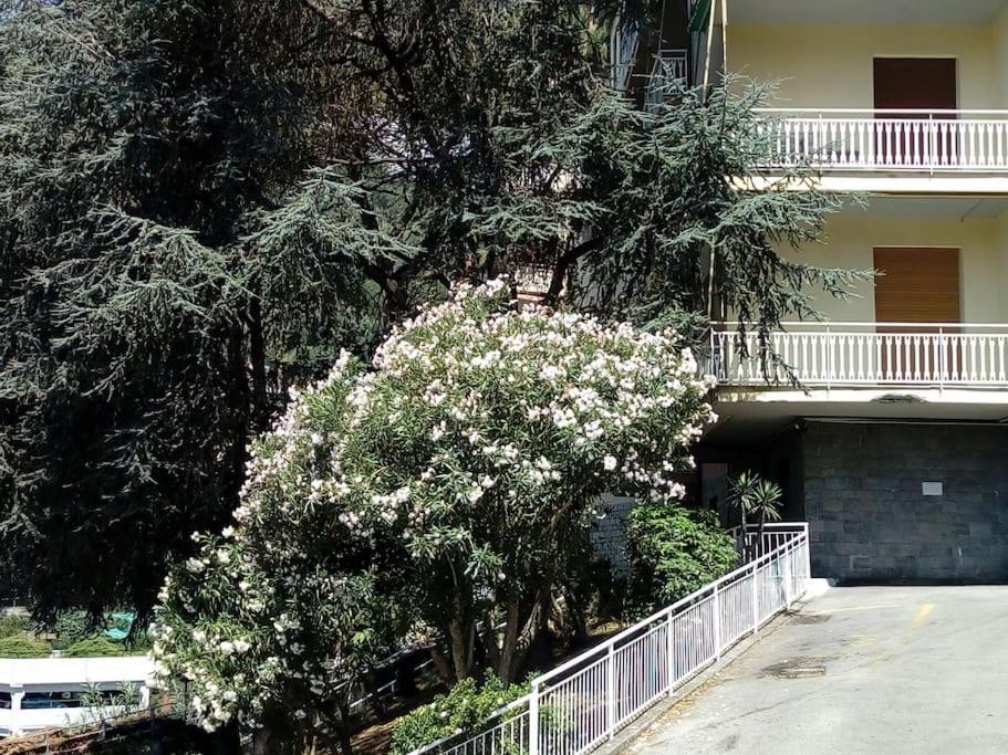 Alma Vacanza Rapallo Buitenkant foto